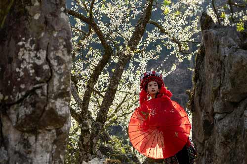 ジグソーパズル ベトナムの女性 247ピース